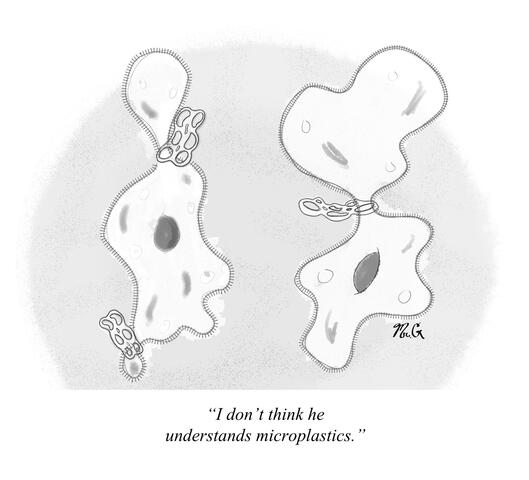 Microplastics