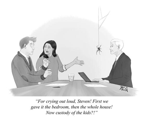 Spider Lawyer
