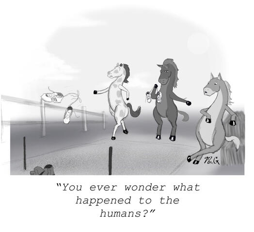 Human Shoes