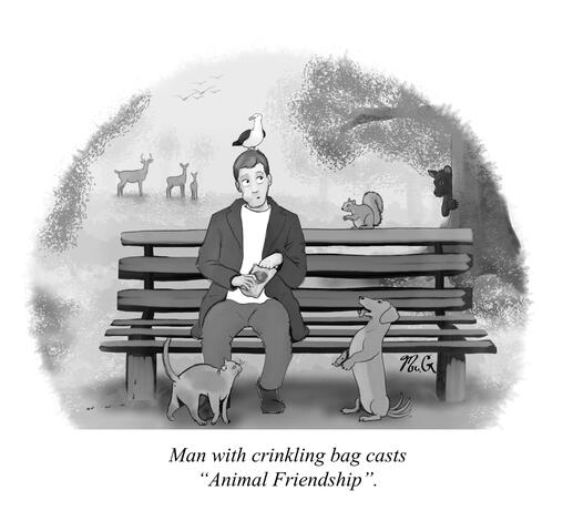 Animal Friendship